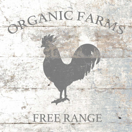 Picture of ORGANIC FARM