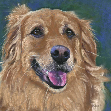 Picture of GOLDEN RETREIVER