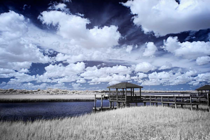 Picture of RIVER IN THE MARSH II