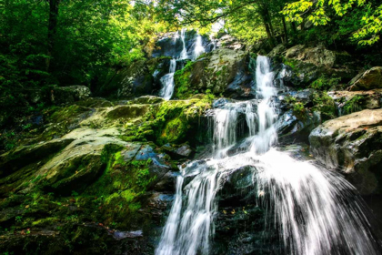 Picture of DARK HOLLOW FALLS I