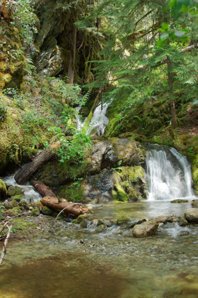 Picture of NORTH CASCADES NP II