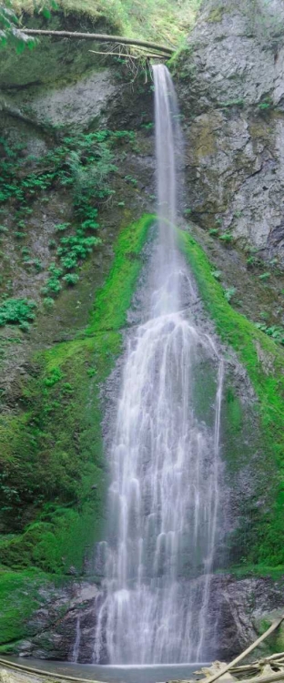 Picture of PORT ANGELES FALLS