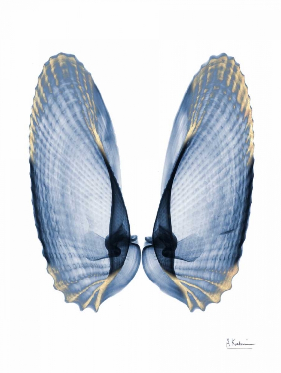 Picture of GOLDEN CRUSTED ANGEL WINGS