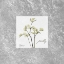 Picture of STUNNING PARSLEY