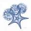 Picture of CERULEAN STARFISH AND SAND DOLLAR 2