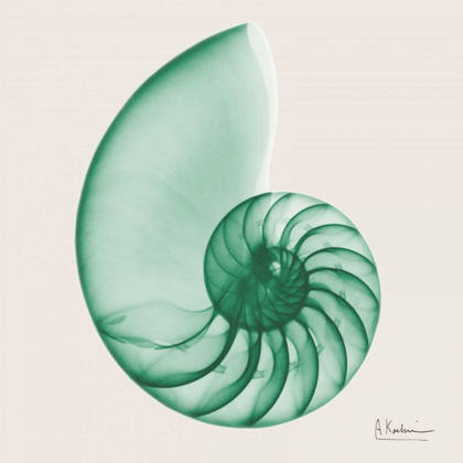 Picture of JADE WATER SNAIL
