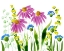 Picture of WILD FLOWERS 10