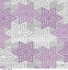 Picture of ORCHID STAR LINKS 2