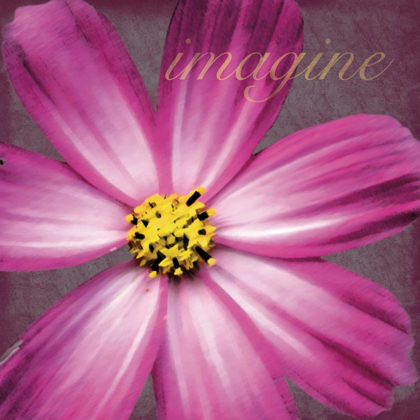 Picture of IMAGINE FLOWER