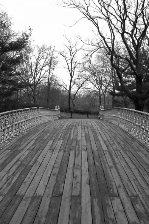 Picture of CENTRAL PARK BRIDGE 4