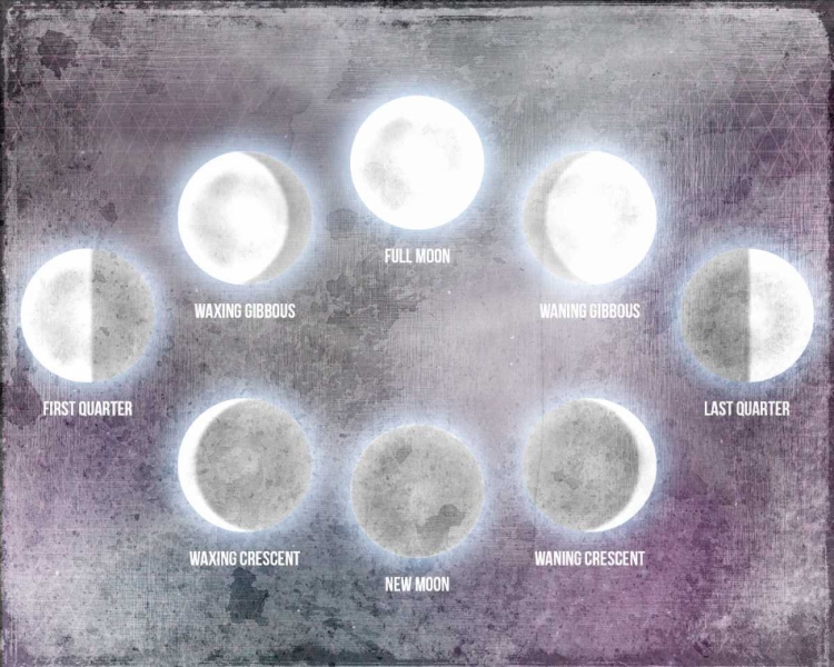 Picture of PHASES OF THE MOON