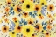 Picture of YELLOW SUMMER BLOOMING 