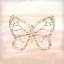 Picture of BUTTERFLY SCRIPT 1