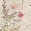 Picture of CARTE POSTAL FLORALS 1
