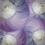 Picture of VIOLET SHELL 2