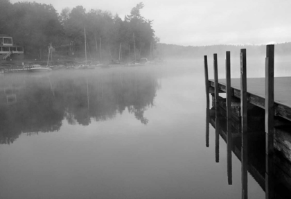 Picture of STILLNESS BW