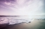 Picture of THE WAVES