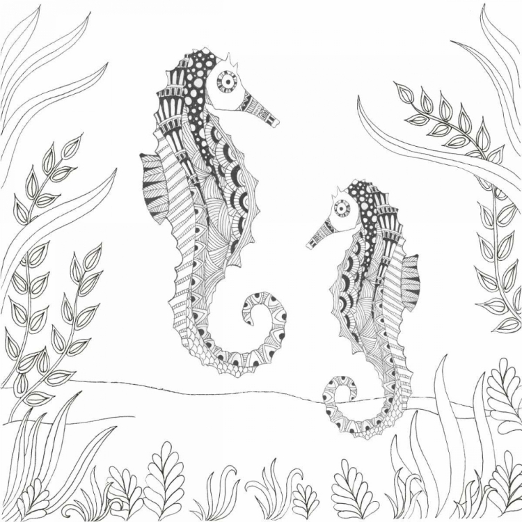 Picture of SEAHORSE PAIR
