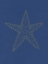 Picture of GLOWING INDIGO STARFISH