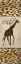 Picture of WILD