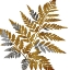 Picture of GOLD PAINT