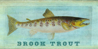 Picture of BROOK TROUT