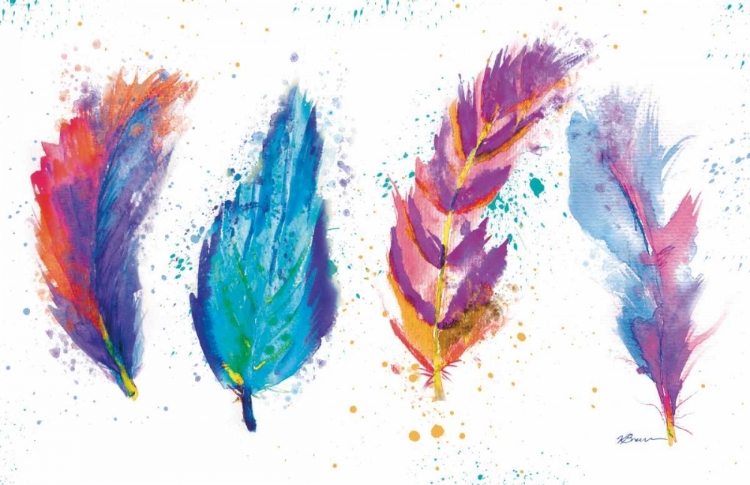 Picture of FEATHERS