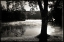 Picture of MORNING SMOKE 2
