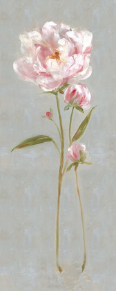 Picture of PEONY MAGIC II