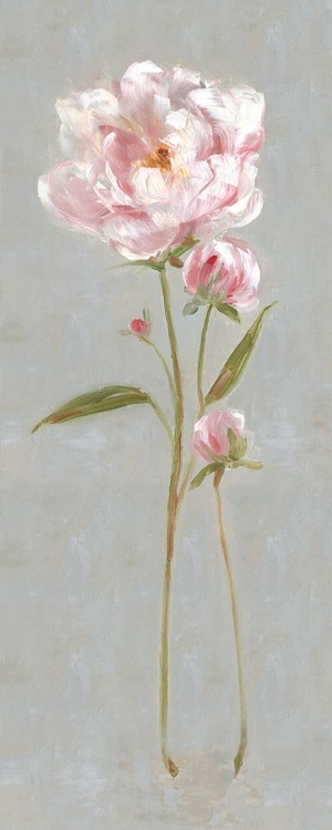 Picture of PEONY MAGIC II