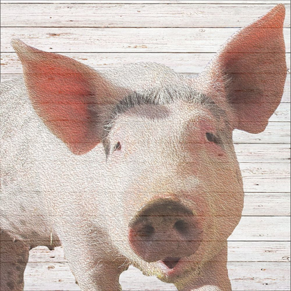 Picture of WILBUR