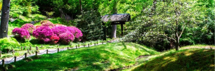 Picture of JAPANESE GARDEN I