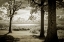 Picture of COBB ISLAND AFTERNOON II