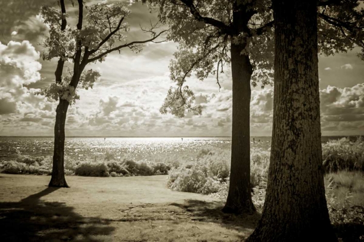 Picture of COBB ISLAND AFTERNOON II