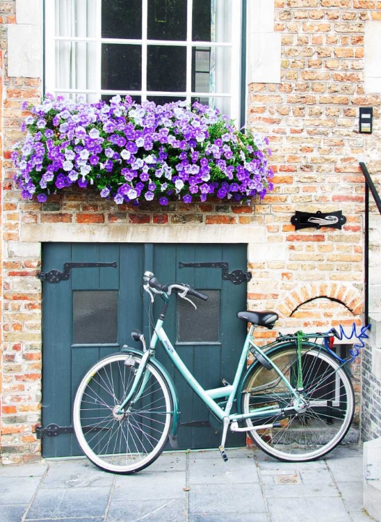 Picture of BRUGGE DOOR AND BICYCLE