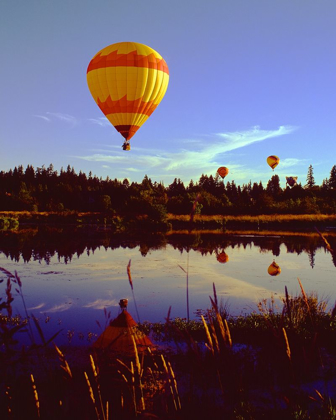 Picture of HOT AIR BALLOONS