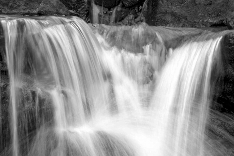 Picture of FALLING WATER II BW