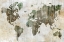 Picture of WORLD MAP I 