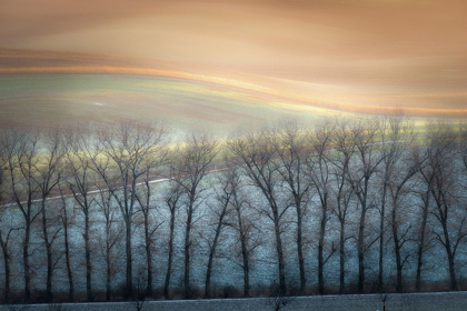 Picture of BOGUSZAK - WINTER ALLEY