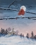 Picture of WINTER CHURCH NIGHTS