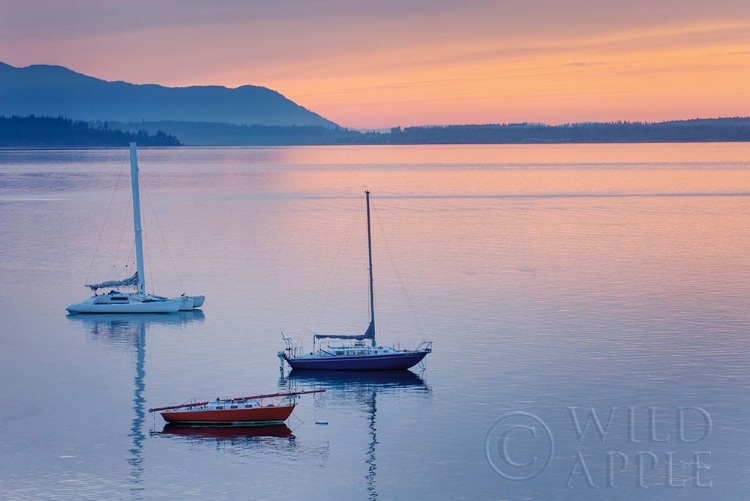 Picture of BELLINGHAM BAY