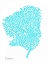 Picture of SEA FAN