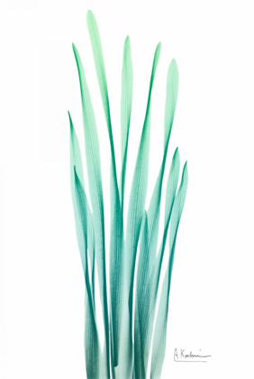 Picture of RADIANT BAMBOO LEAF