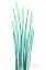 Picture of RADIANT BAMBOO LEAF