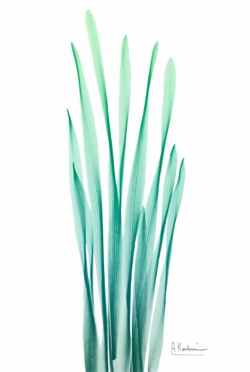 Picture of RADIANT BAMBOO LEAF