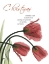 Picture of CHRISTMAS TULIPS 1
