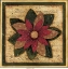 Picture of POINTSETTIA