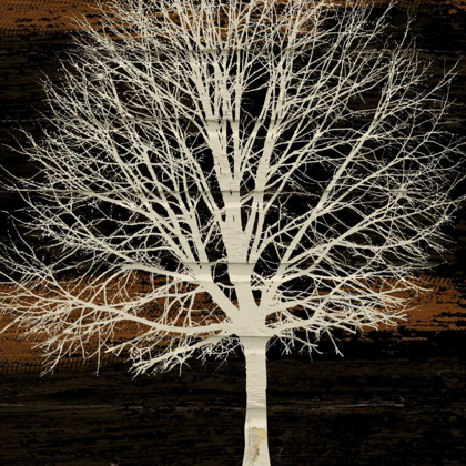 Picture of NIGHT TREE