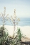 Picture of ONTHE EDGE II