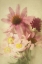Picture of LATE SUMMER BLOOMS 2